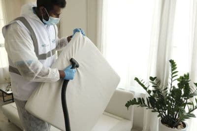 Bed Bug Treatment